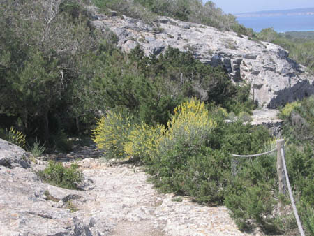 Formentera2007