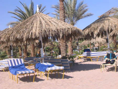 Strand2