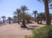 Strand1