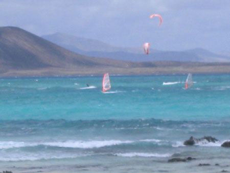 Surfer