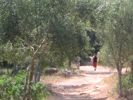 Formentera2007