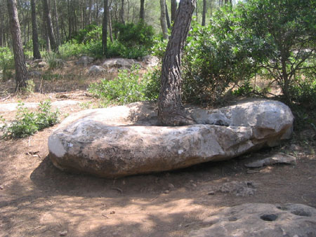 Formentera2007