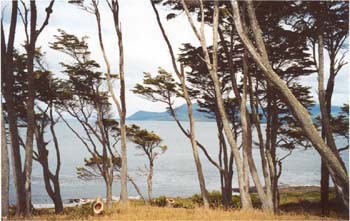 Fort