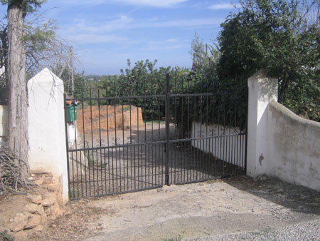 Ibiza7