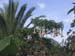 Ibiza8